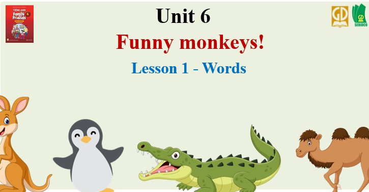 Unit 6 Funny monkeys! Lesson 1 - Words